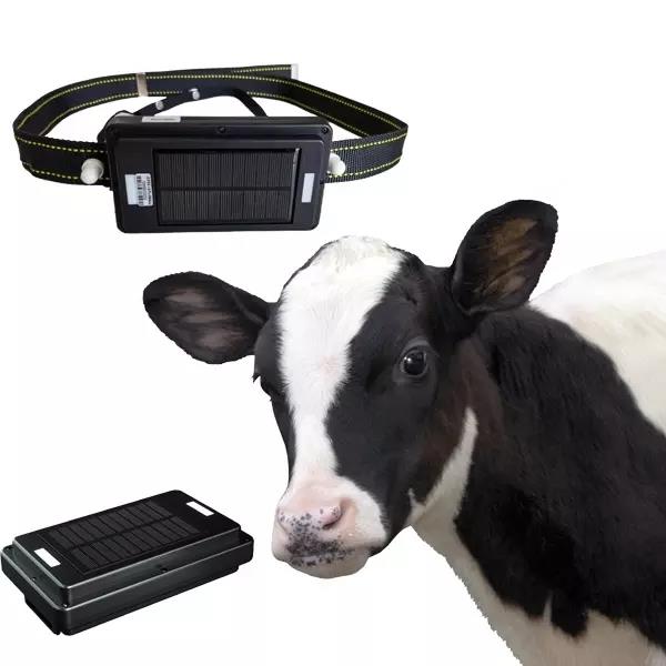 Animal Gps Tracker 4G Solar - 4Gソーラーパネル充電式GPSトラッカー 大型動物用 防水 リモコン機能付き 馬、牛、牛類追跡用 GPSONE