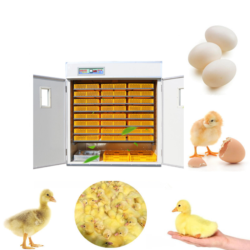 Poultry Incubator 96 Eggs - 自動孵卵器、デジタル制御、温度・湿度モニタリング機能、96個の卵を同時に孵化可能、家禽用孵化機