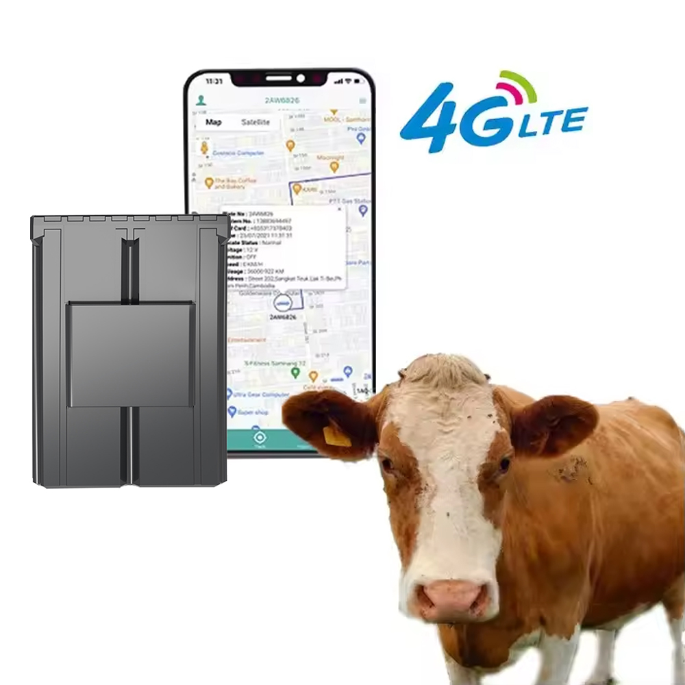 Animal Gps Tracker 4G Solar - カスタム耳タグGPS牛追跡装置 羊 牛 ラクダ 動物 4G