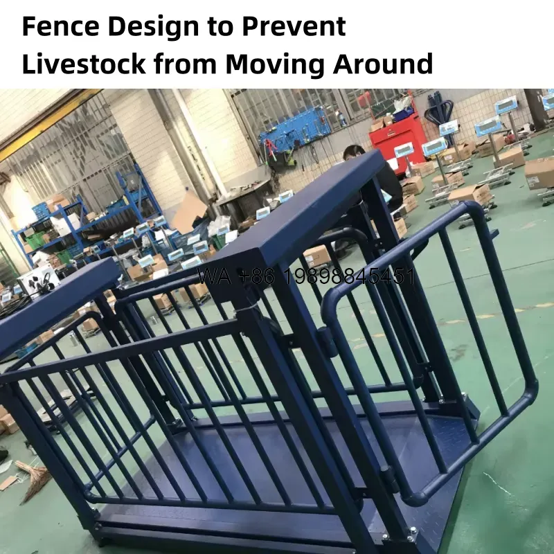 Cattle Weighing Scale Digital - Wmwmnu製 農業用機器 デジタル式フロアスケール 牛・豚用フロアフェンス式計量台 農畜産物計量