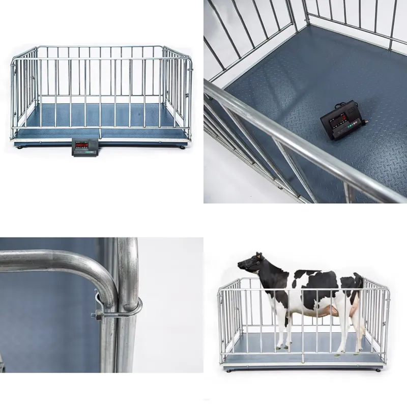 Cattle Weighing Scale Digital - SFW認証取得済み、格安1トンデジタルプラットフォーム計量スケール（牛、豚、羊、ヤギ用）、LCDディスプレイ、フェンス付き、高精度