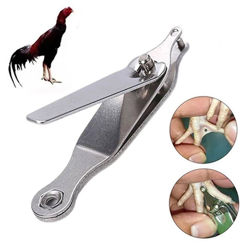 Cattle Ear Tag Applicator - 鶏の足指に刻印するためのツール - ひよこ、アヒルの子、マウス用の永久識別ツール、耳標付けと足指マーキング用。