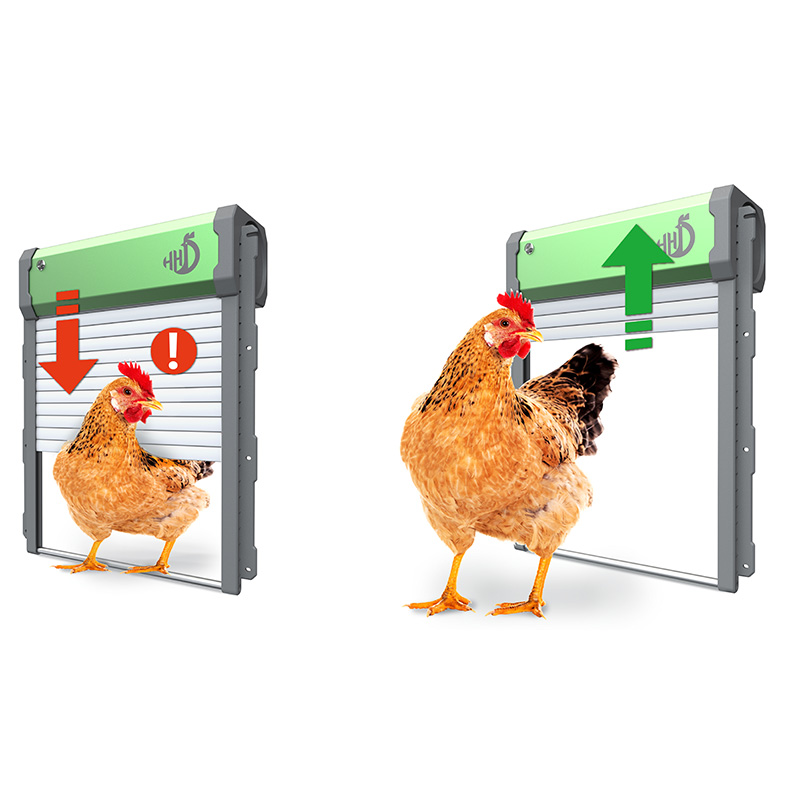 WONEGGスマートアプリ自動鶏小屋開閉ドアソーラー - Automatic Chicken Door Opener Solar のレビューと価格