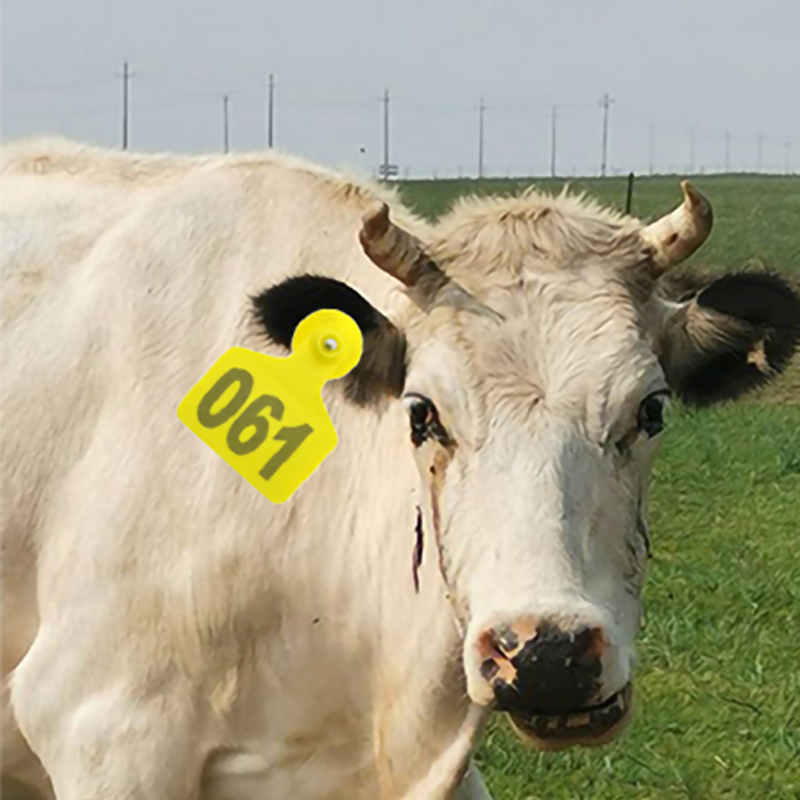 家畜、牛の耳タグ、家畜の耳タグ、豚と羊、50個の番号が付いた - Cattle Ear Tag Applicator のレビューと価格