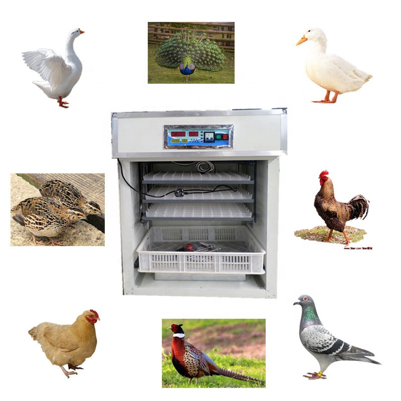 自動孵卵器、デジタル制御、温度・湿度モニタリング機能、96個 - Poultry Incubator 96 Eggs のレビューと価格