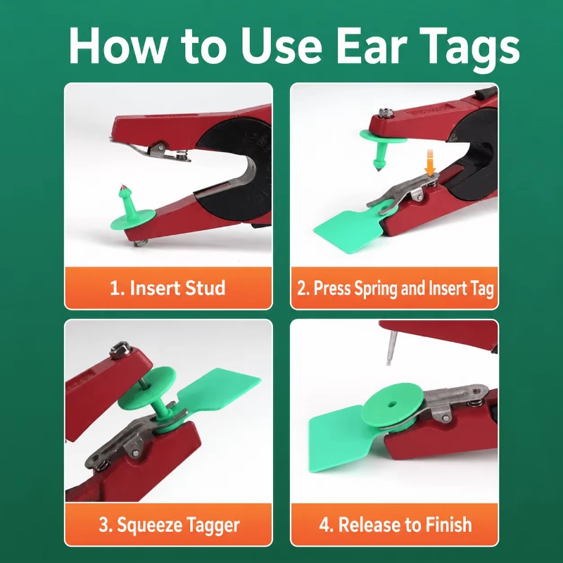 高品質RFID耳タグ装着器、農場用金属製動物耳用プライヤー - Cattle Ear Tag Applicator のレビューと価格