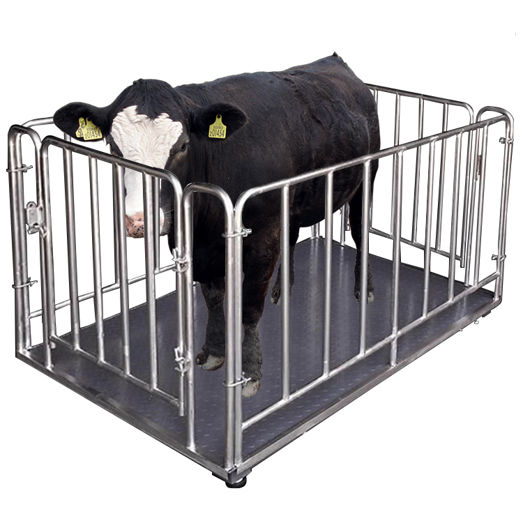 デジタル電子家畜体重計 1000kg 定量スケール 牛 豚  - Cattle Weighing Scale Digital のレビューと価格