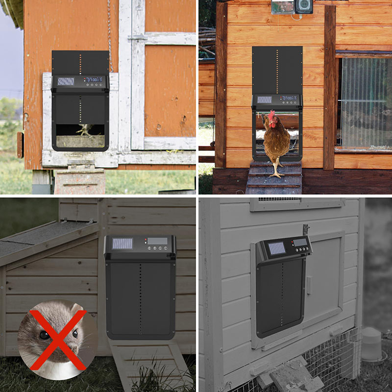 自動高級鶏小屋ドア ソーラー電源式電動オープナー LCDスク - Automatic Chicken Door Opener Solar のレビューと価格