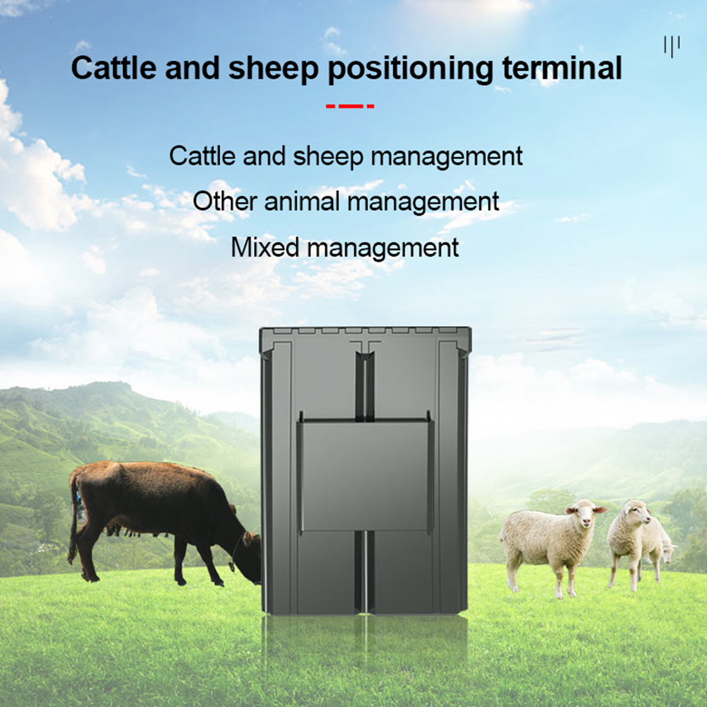 カスタム耳タグGPS牛追跡装置 羊 牛 ラクダ 動物 4G  - Animal Gps Tracker 4G Solar のレビューと価格
