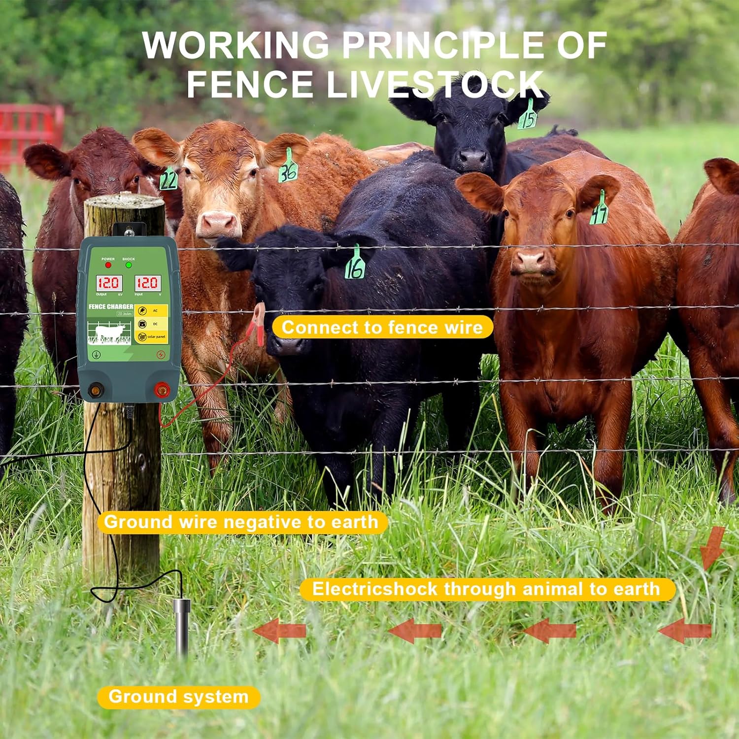 12KM高電圧電気柵通電装置、牧場動物保護、家畜農場、牛の防 - Livestock Fence Energizer 12V のレビューと価格