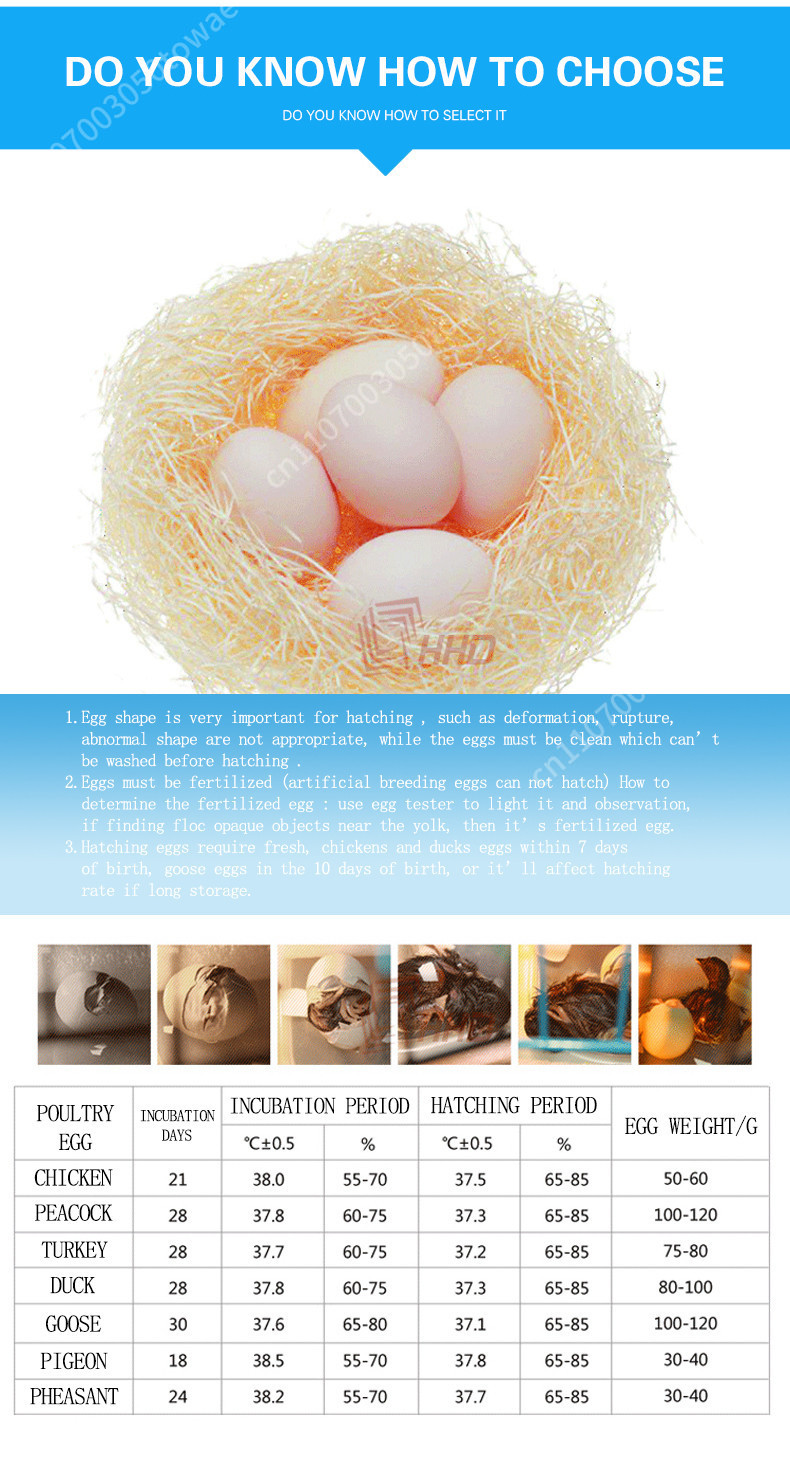 自動96卵孵卵器 鶏飼育用 新型小型家庭用孵卵システム 格安 - Poultry Incubator 96 Eggs のレビューと価格