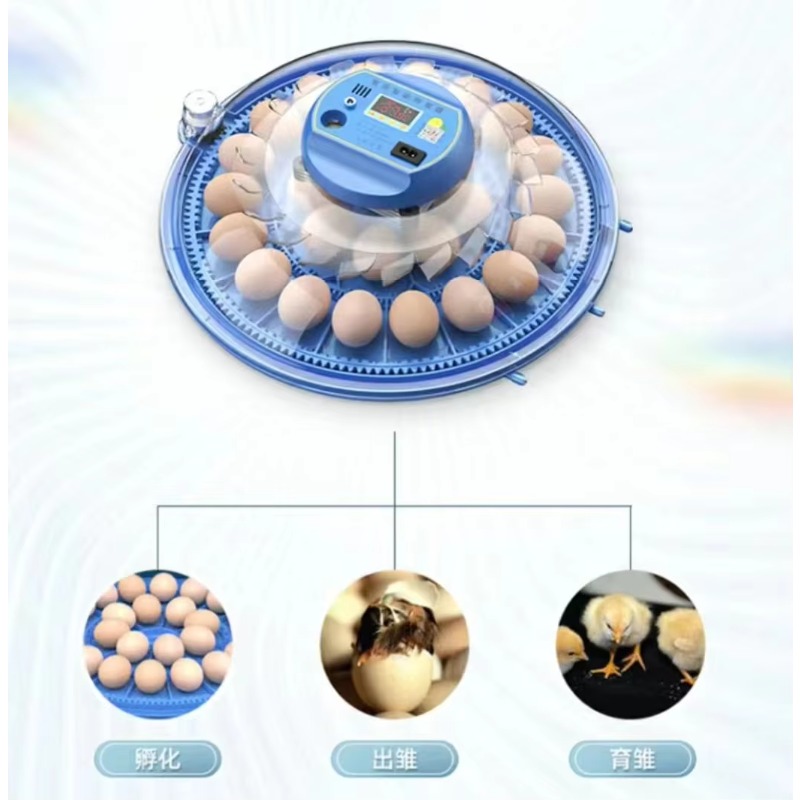 20/24/36/56/96/112個の卵に対応した全自動鶏 - Poultry Incubator 96 Eggs のレビューと価格