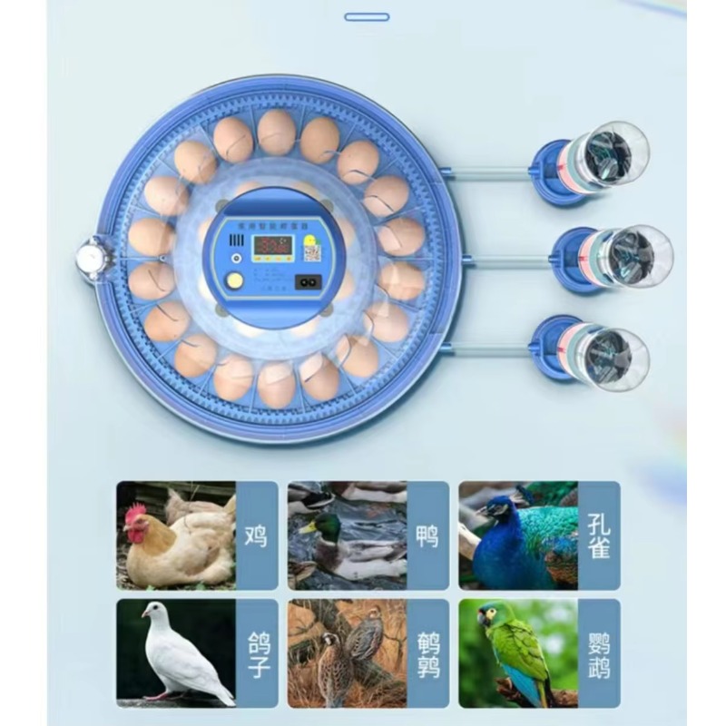 20/24/36/56/96/112個の卵に対応した全自動鶏 - Poultry Incubator 96 Eggs のレビューと価格