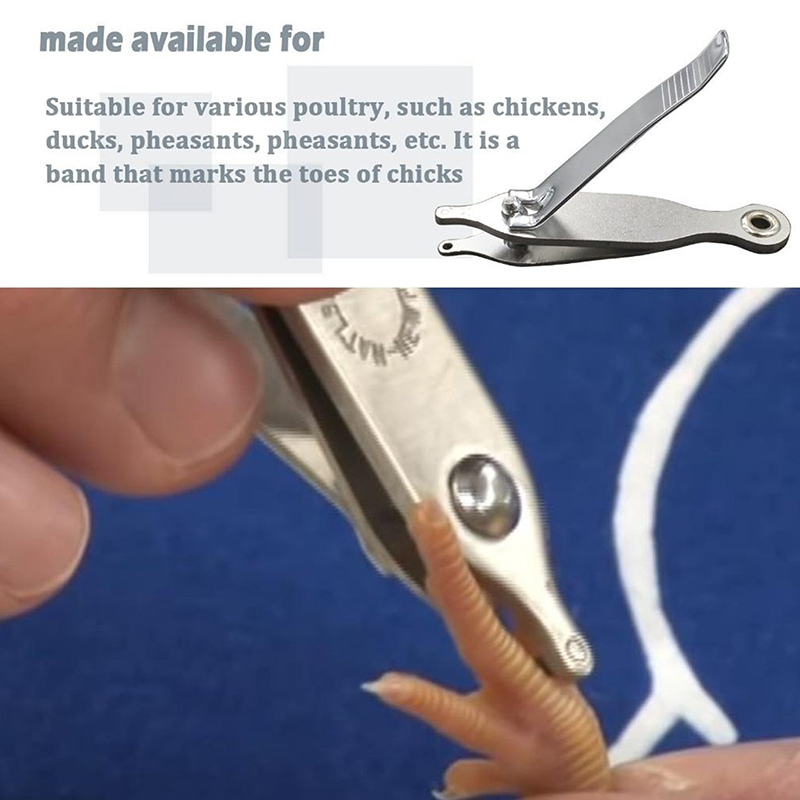 鶏の足指に刻印するためのツール - ひよこ、アヒルの子、マウ - Cattle Ear Tag Applicator のレビューと価格