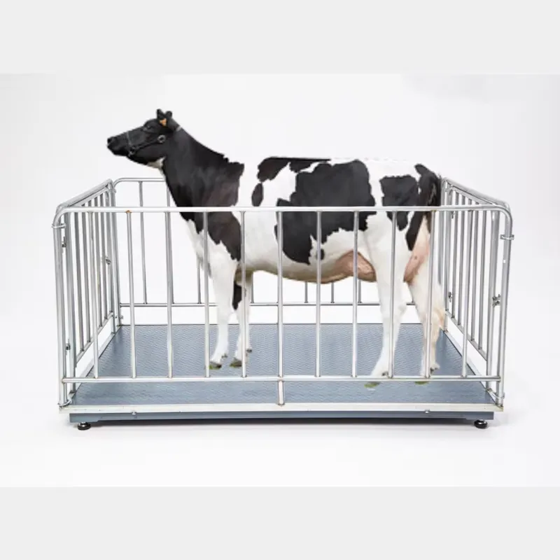 SFW認証取得済み、低価格デジタル牛体重計、豚用カスタマイズ - Cattle Weighing Scale Digital のレビューと価格