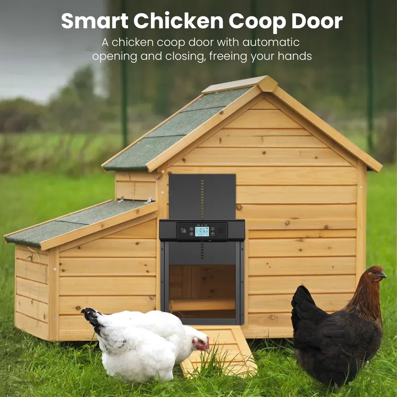スマート自動防水アルミ製鶏小屋ドアオープナー（WiFi、ソー - Automatic Chicken Door Opener Solar のレビューと価格