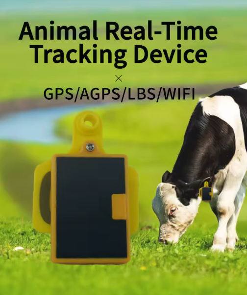 牛用耳標GPSトラッカー、ソーラーパネル充電式、牛用GPSト - Livestock Ear Tag Gps Tracker のレビューと価格